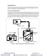 Предварительный просмотр 15 страницы RKI Instruments GX-2009 Operator'S Manual