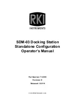 RKI Instruments SDM-03 Operator'S Manual предпросмотр