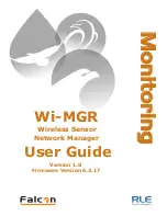 RLE Technologies Falcon Wi-MGR User Manual предпросмотр