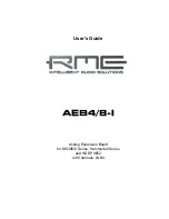 RME Audio AEB4-1 User Manual предпросмотр