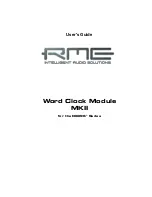 RME Audio DIGI96 User Manual предпросмотр