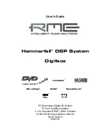 RME Audio Hammerfall Digiface User Manual предпросмотр