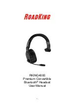 RoadKing RKING4000 User Manual предпросмотр