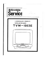 Preview for 1 page of Roadstar TVM-1003E Service Manual