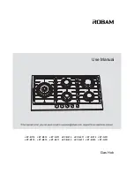 Robam JZT B110 User Manual preview