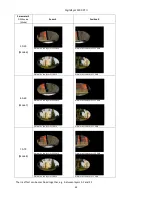 Preview for 44 page of Robe Digital Spot 3000 DT II User Manual