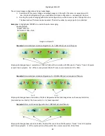 Preview for 58 page of Robe DigitalSpot 3000 DT User Manual