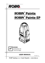 Robe Painte User Manual preview