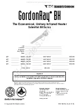 Roberts Gorden GordonRay BH Service Manual preview