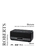 Roberts Blutune User Manual предпросмотр