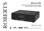 Roberts Blutune65 User Manual preview