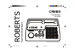 Roberts CR9900 Manual предпросмотр