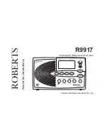 Roberts R9917 User Manual preview