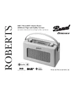 Roberts Revival iStream2 Manual предпросмотр