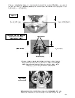 Preview for 51 page of Robomower RL350 Operating & Safety Manual