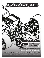 Roche rapide P12 2016 Assembly Manual preview