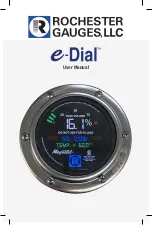 Preview for 1 page of Rochester Gauges 6317-00001 User Manual