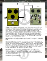 Rockett Pedals APE Instruction Manual preview