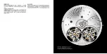 Preview for 24 page of Roger Dubuis RD100 Instructions For Use Manual