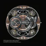 Предварительный просмотр 5 страницы Roger Dubuis RD101 Instructions For Use Manual