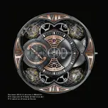 Предварительный просмотр 11 страницы Roger Dubuis RD101 Instructions For Use Manual