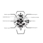 Предварительный просмотр 12 страницы Roger Dubuis RD101 Instructions For Use Manual