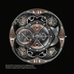 Предварительный просмотр 35 страницы Roger Dubuis RD101 Instructions For Use Manual