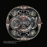 Предварительный просмотр 47 страницы Roger Dubuis RD101 Instructions For Use Manual