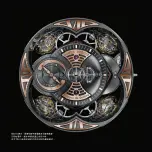 Предварительный просмотр 53 страницы Roger Dubuis RD101 Instructions For Use Manual