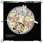 Preview for 59 page of Roger Dubuis RD104 Instructions For Use Manual