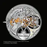 Preview for 29 page of Roger Dubuis RD580 Instructions For Use Manual