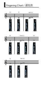 Preview for 20 page of Roland Aerophone mini AE-01 Owner'S Manual