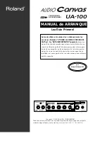 Preview for 1 page of Roland Audio Canvas UA-100 Manual