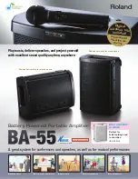 Roland BA-55 Brochure & Specs preview