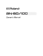 Roland Bass Note BN-60 Owner'S Manual предпросмотр