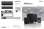 Roland CM-110 Brochure & Specs preview