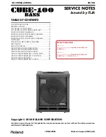 Preview for 1 page of Roland CUBE-100 BASS Service Notes