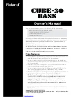 Roland cube-30 bass Owner'S Manual preview