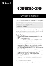 Roland CUBE-30 Owner'S Manual preview