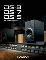 Roland DS-5 Brochure & Specs предпросмотр