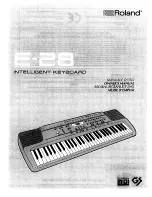 Preview for 1 page of Roland E-28 Owner'S Manual