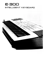 Roland E-300 Owner'S Manual preview