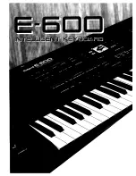 Roland E-600 Owner'S Manual preview