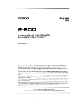 Preview for 3 page of Roland E-600 Owner'S Manual