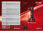 Roland FR-18 DIATONIC Brochure & Specs preview