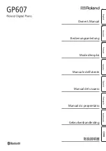Preview for 1 page of Roland GP607 Owner'S Manual