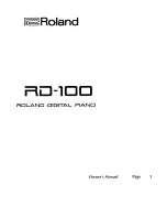 Preview for 1 page of Roland RD-100 Owner'S Manual