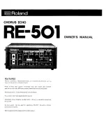 Предварительный просмотр 1 страницы Roland RE-501 Owner'S Manual