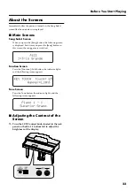 Preview for 25 page of Roland RG-3 Owner'S Manual