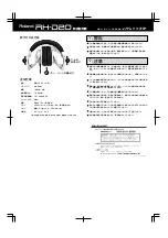 Preview for 2 page of Roland RH-D20 Owner'S Manual